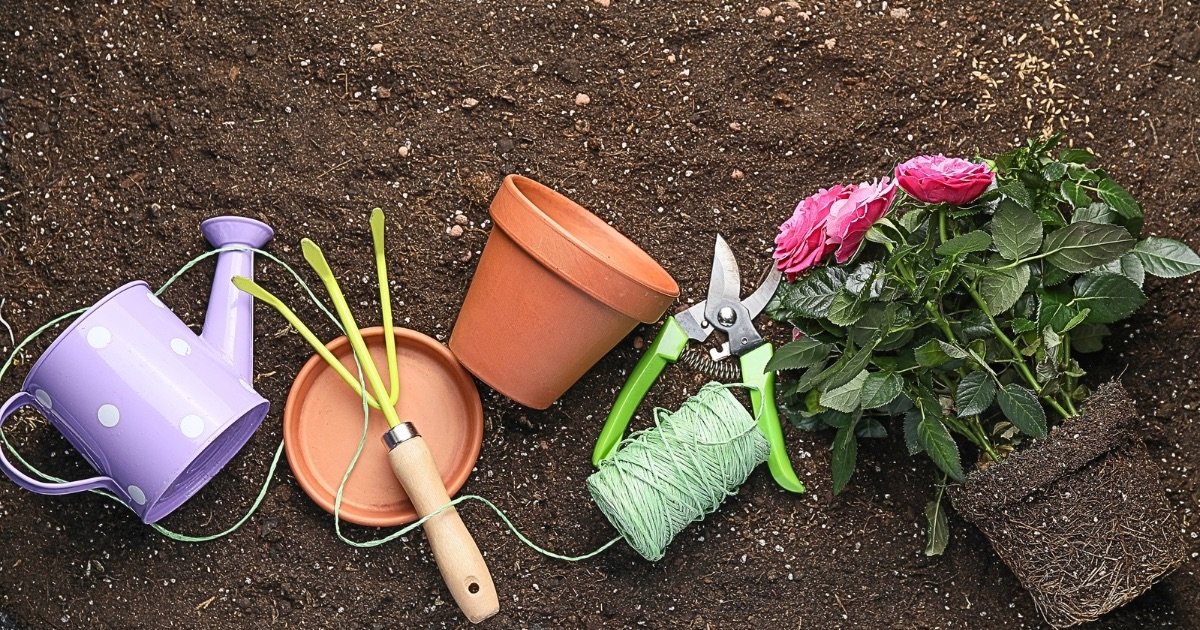 Gardening Tips