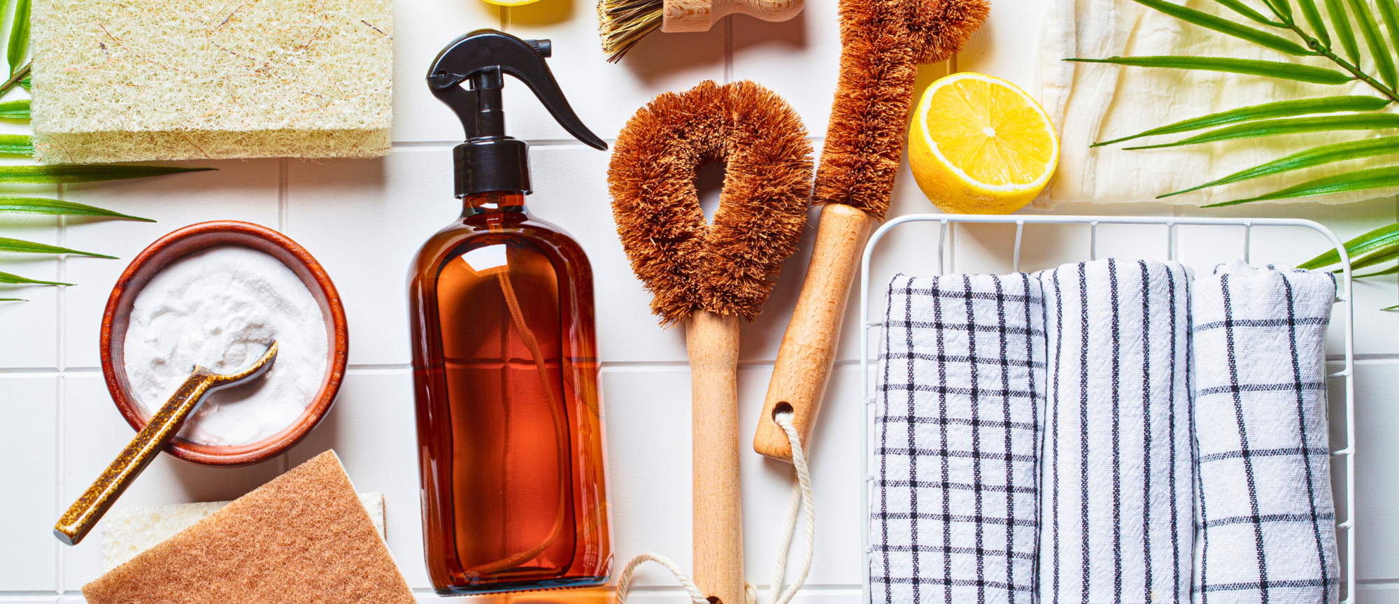 Homemade Cleaners
